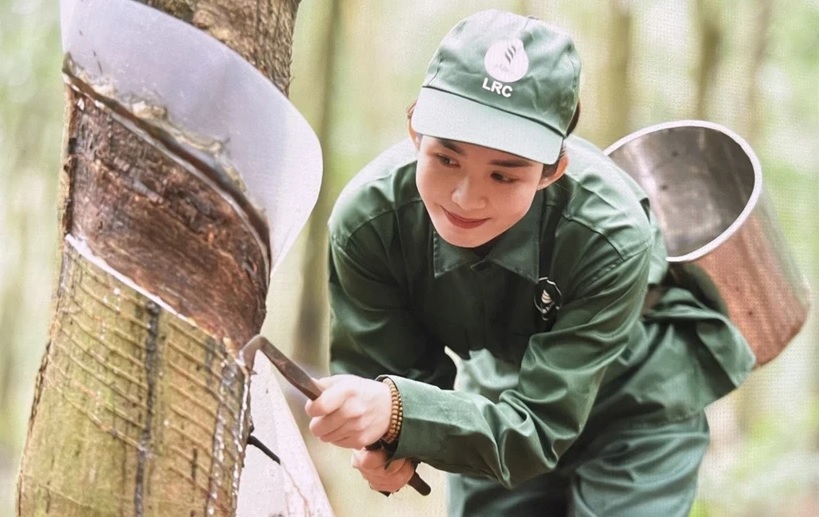 Dự báo xuất khẩu cao su vẫn gặp khó do căng thẳng Biển Đỏ